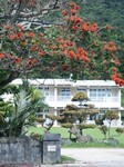 DVC00028-c.jpg